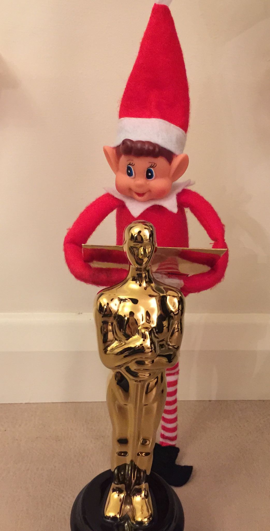 Winner for the Most Likes and Comments on Our “Elfie-Selfies”